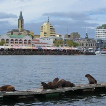 River side of Valdivia with its fish market